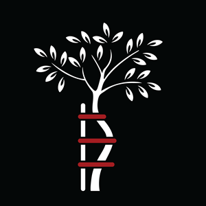 Logo Design by Casey Kelechi