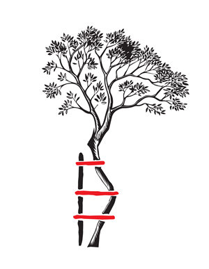 Diseño de Logo por Designer Thamara para este proyecto | Diseño: #35397001