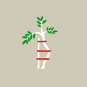 Logo Design by n1ck