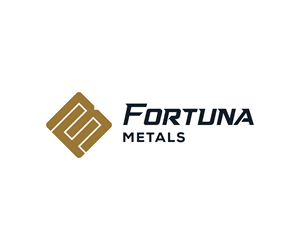 Logo Design by Goltu for Hensman Corporate | Design: #35419301