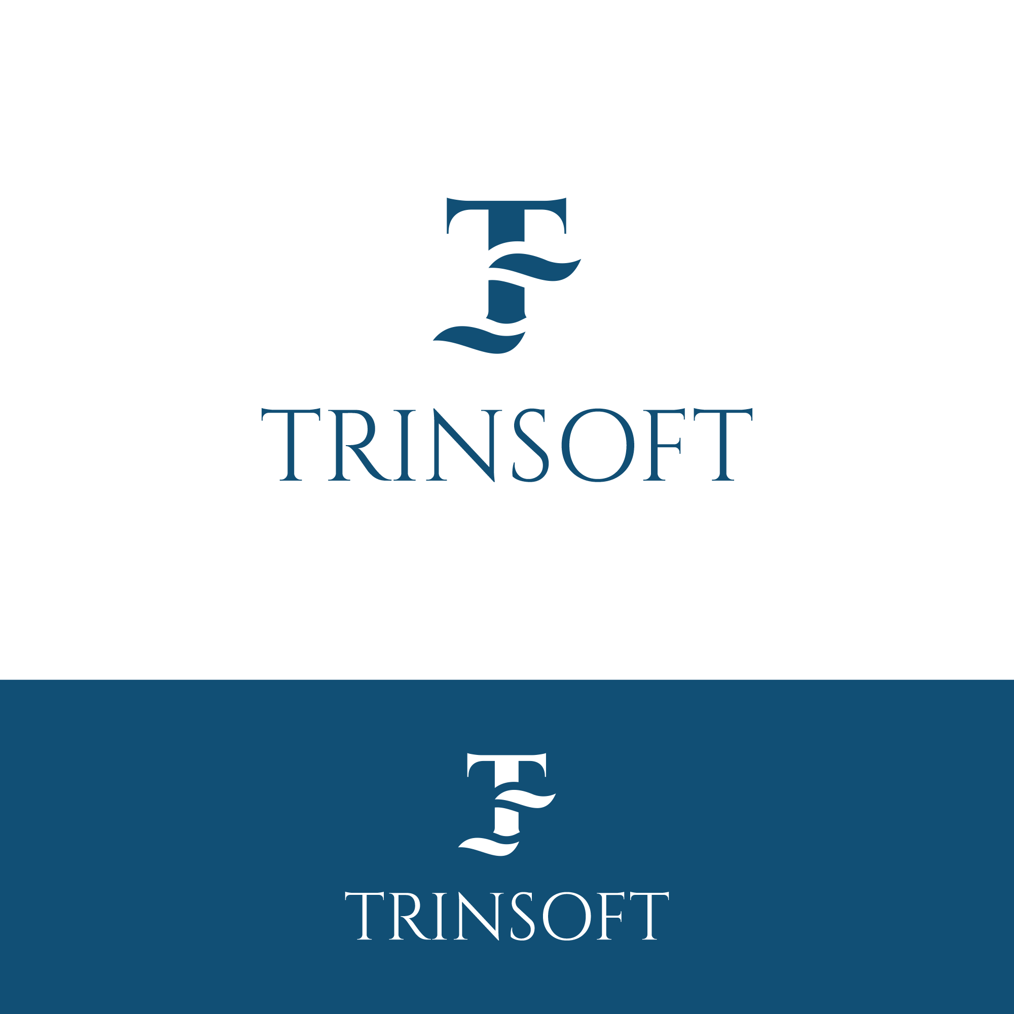 Design de Logo par skylart28 pour TrinSoft | Design #36280864