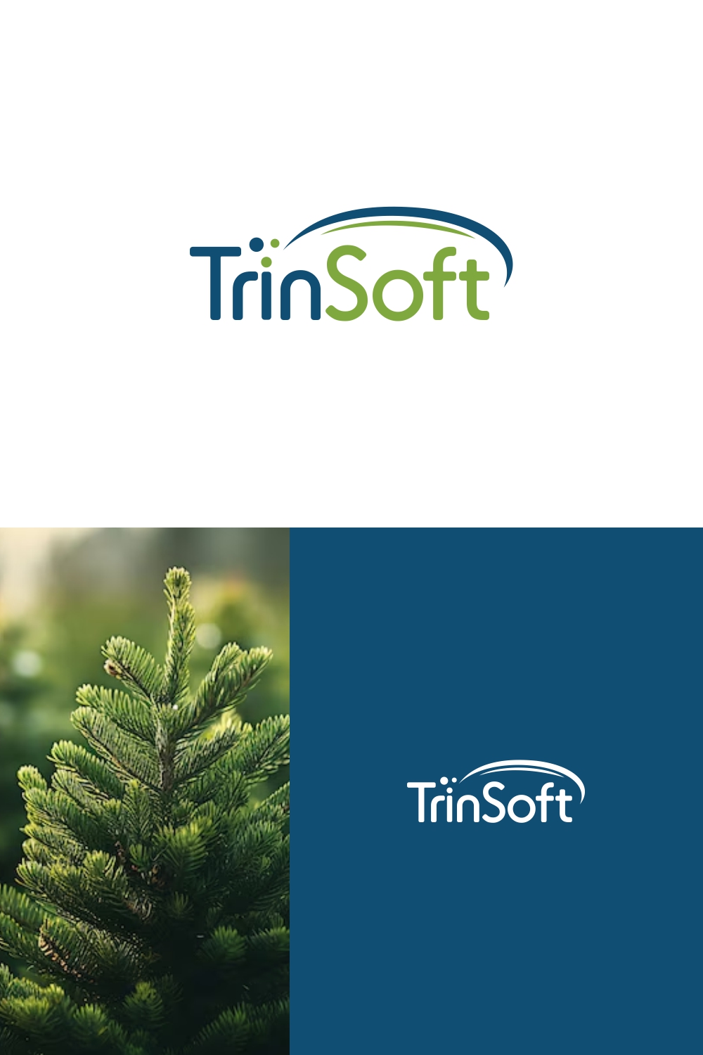 Logo-Design von JesPixel für TrinSoft | Design #35409156