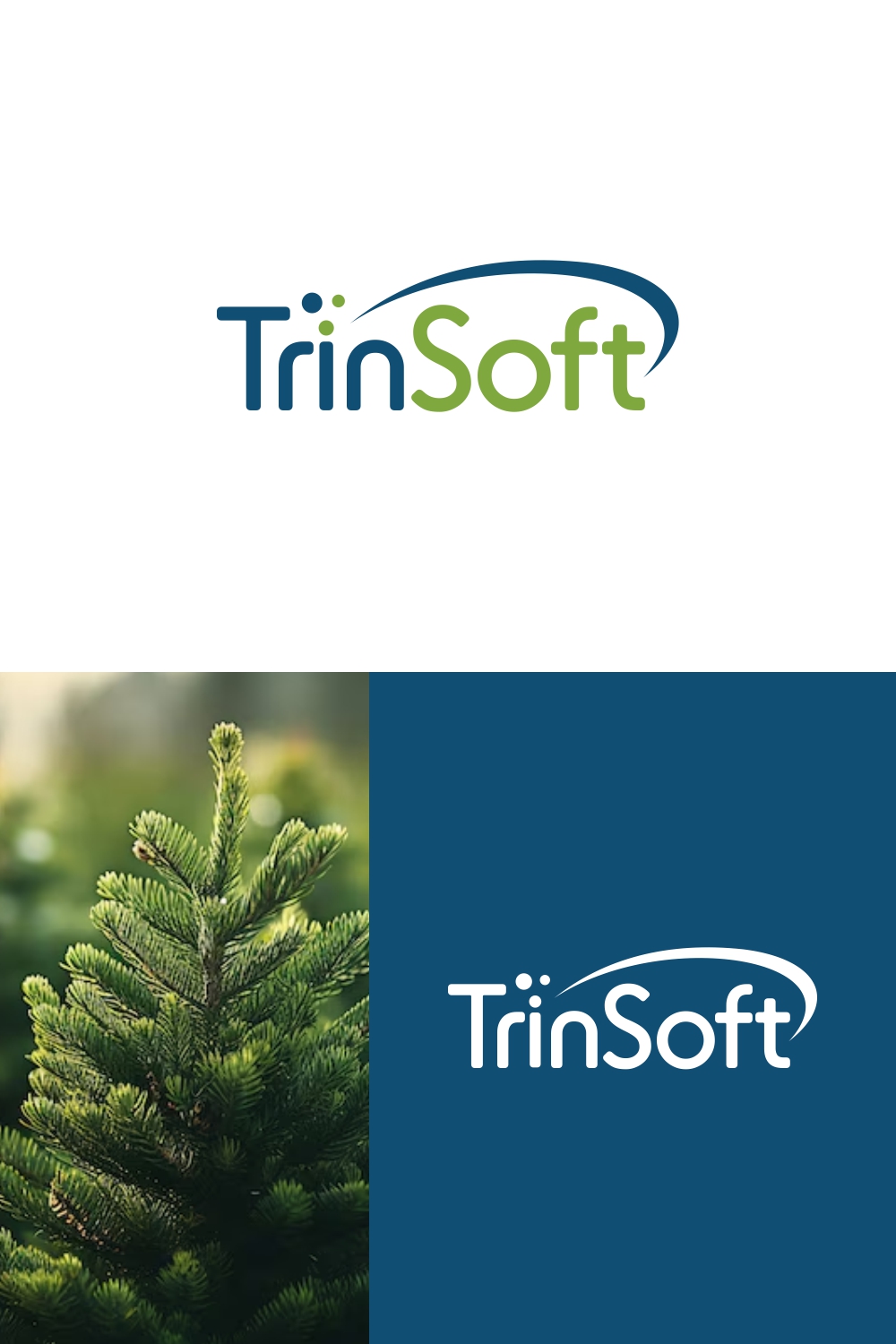 Logo-Design von JesPixel für TrinSoft | Design #35409160