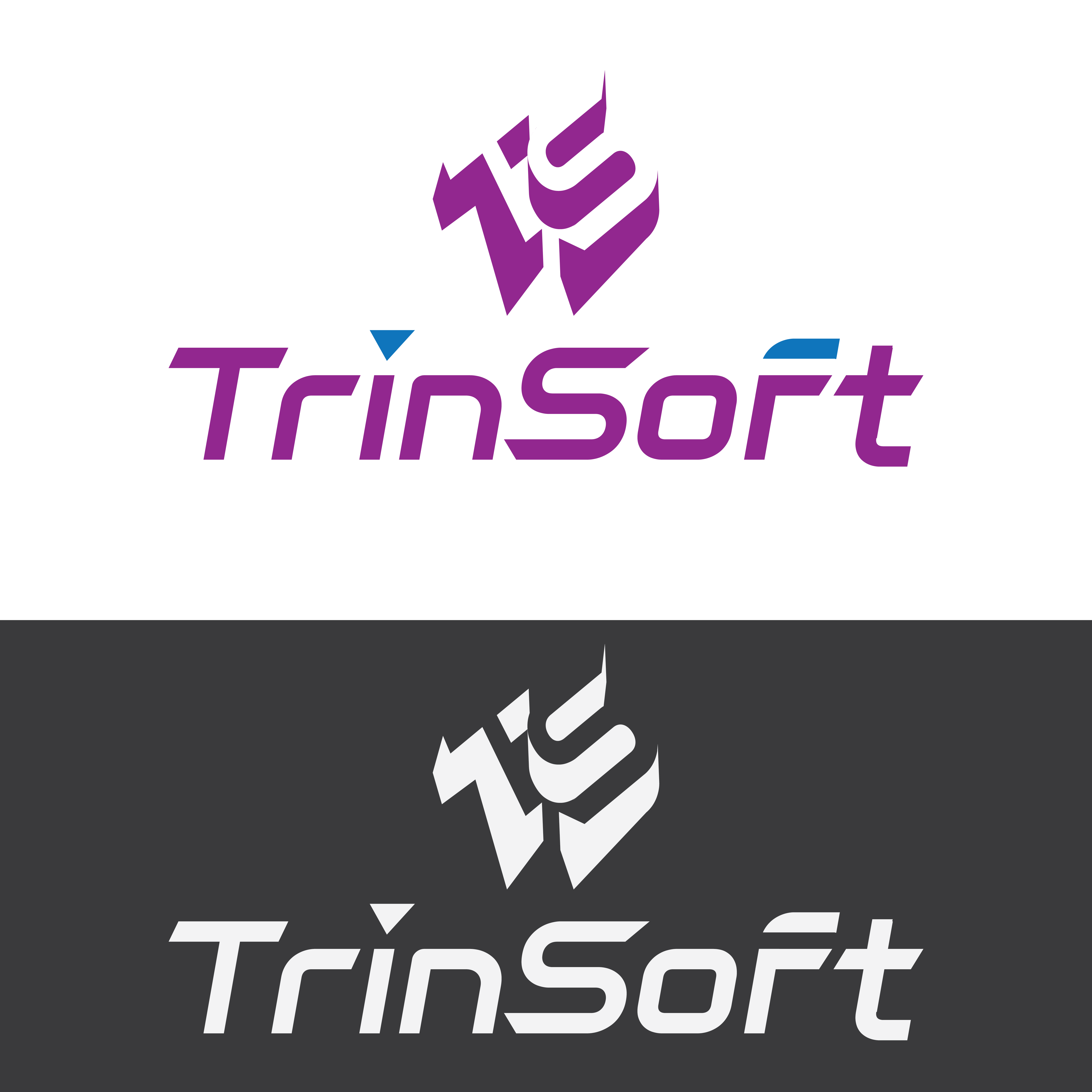 Logo-Design von Rizki609 für TrinSoft | Design #36289678