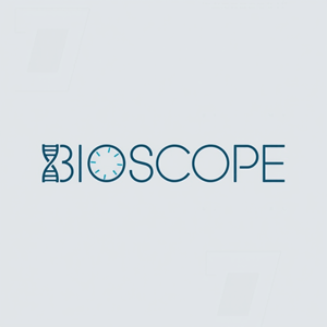 Logo Design by AMBStudio for this project | Design: #35411891