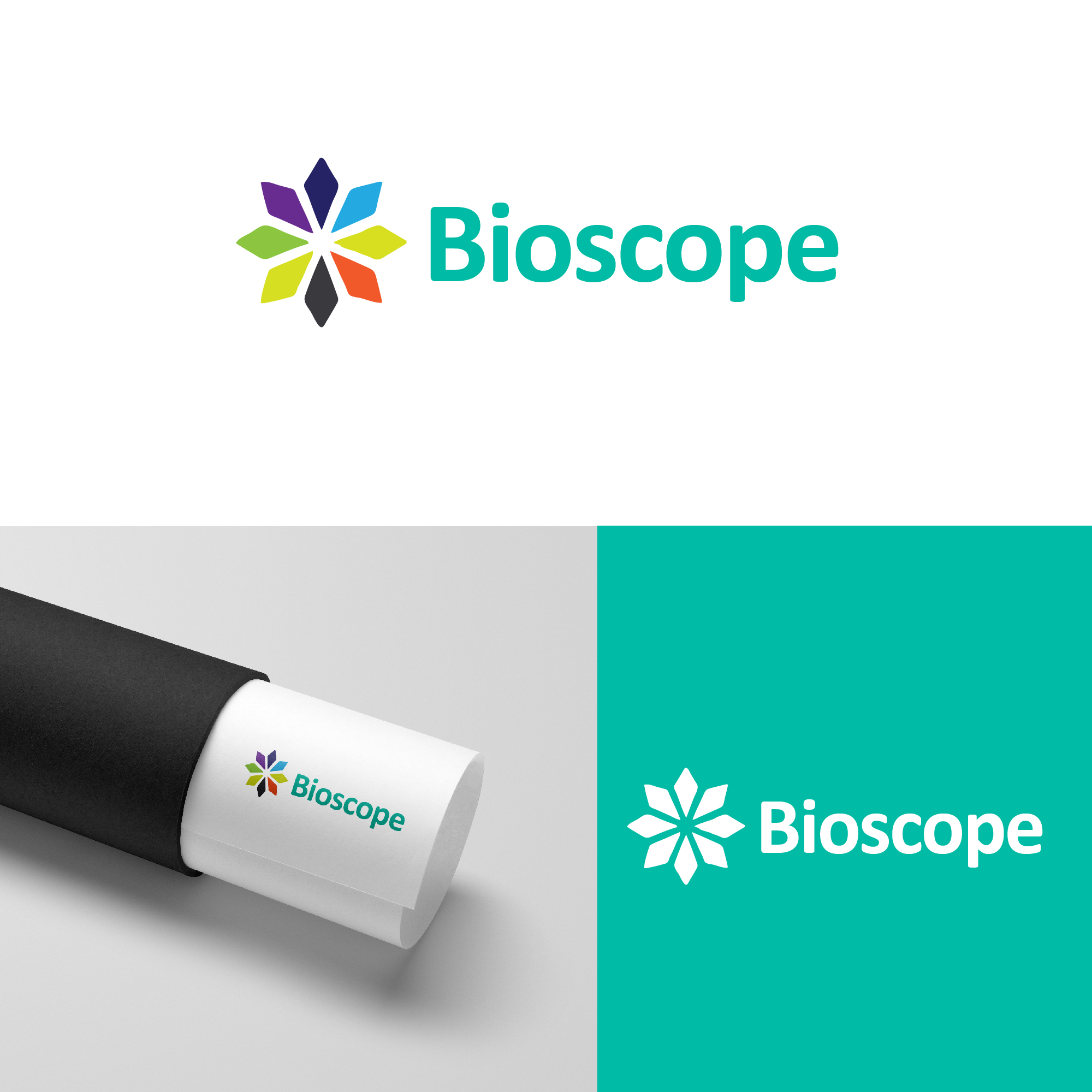 Diseño de Logo por Logodesigns006 para este proyecto | Diseño #35418305