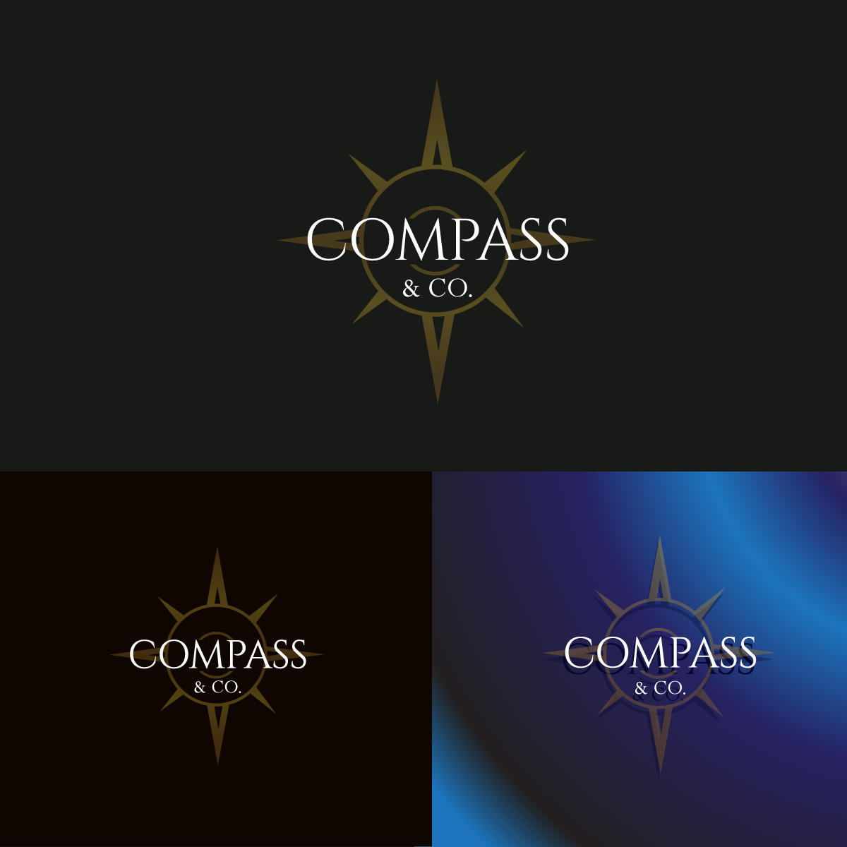 Logo Design by fly  design for this project | Design #35415073