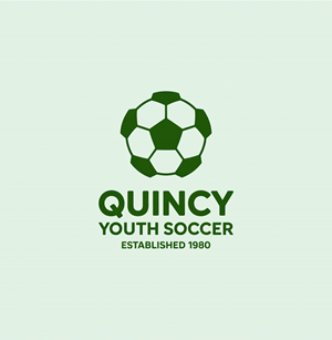 Logo Design by DesignVerse777 for this project | Design: #35429796
