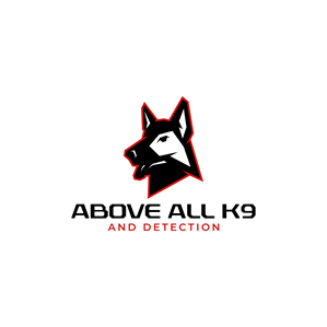 Logo Design by Aljune Castro Designs