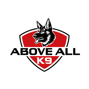Design de Logo par Krold IT Solutions pour ce projet | Design : #35462078