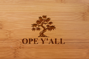 Logo Design by Nova_Create for this project | Design: #35458597