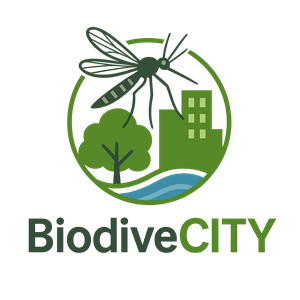 Logo Design by Arzam