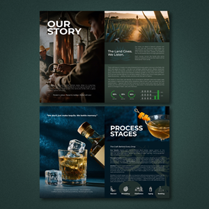 Brochure Design by alt+o