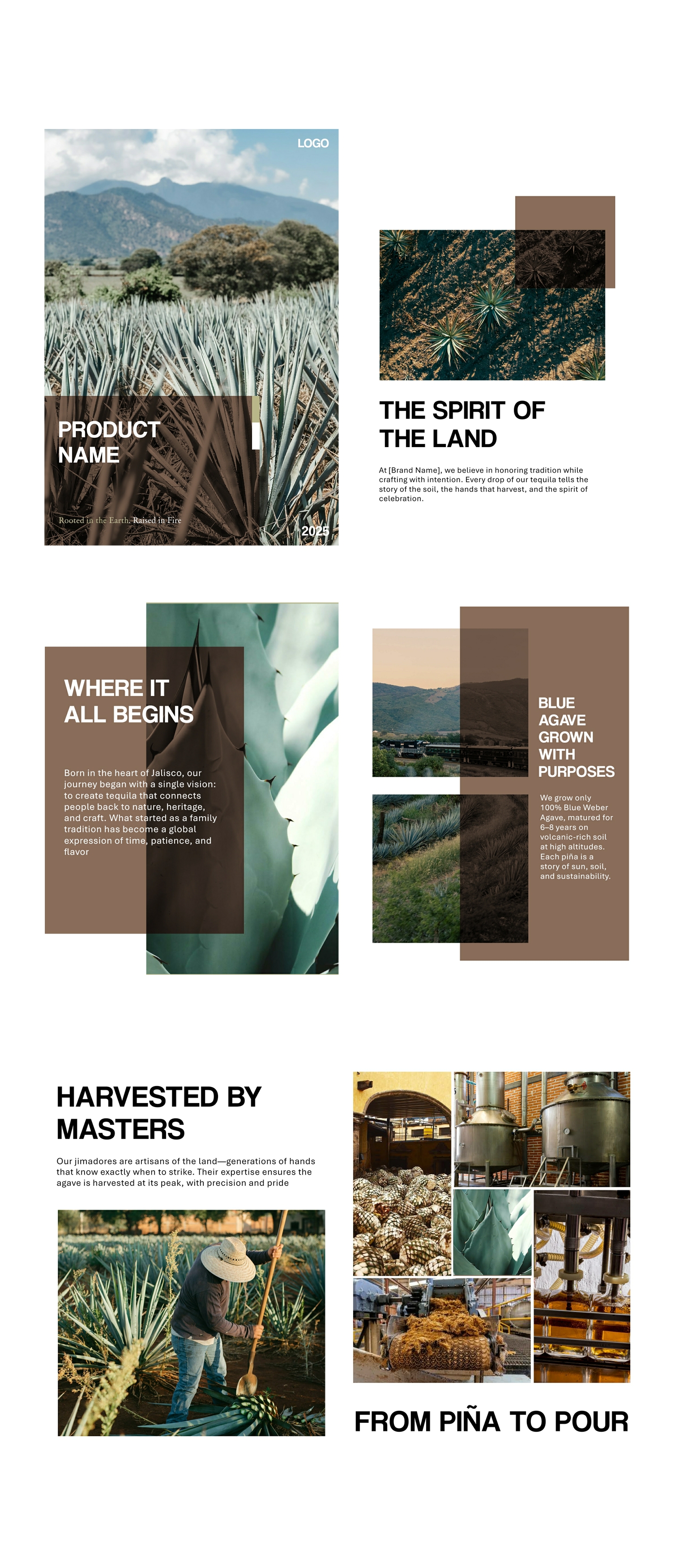 Brochure Design by youga for this project | Design #35496820
