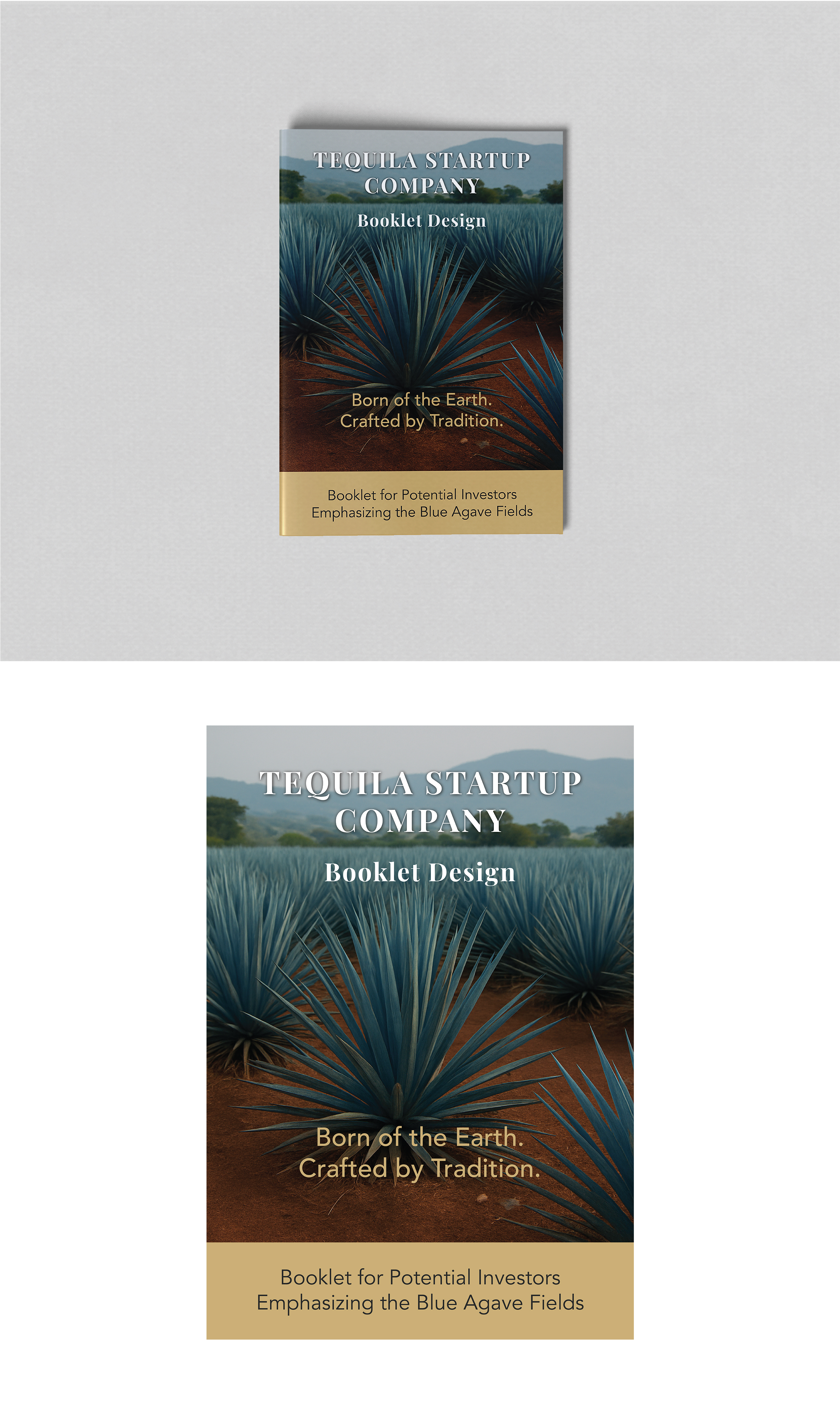 Diseño de Brochure por Manu-25 para este proyecto | Diseño #35525556