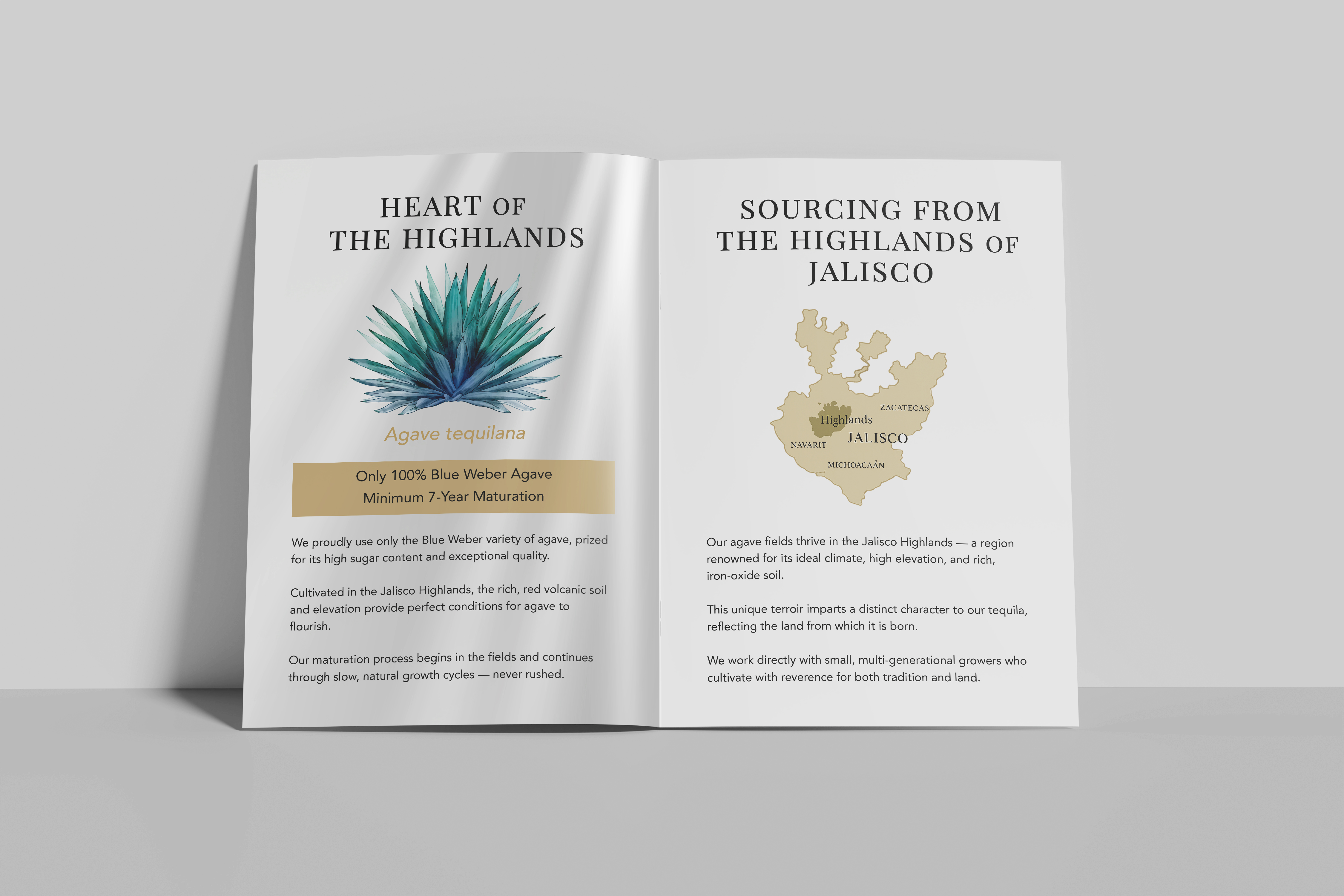 Brochure Design by Manu-25 for this project | Design #35537332