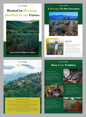 Diseño de Brochure por pb para este proyecto | Diseño: #35525209