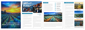 Diseño de Brochure por pb para este proyecto | Diseño: #35525212