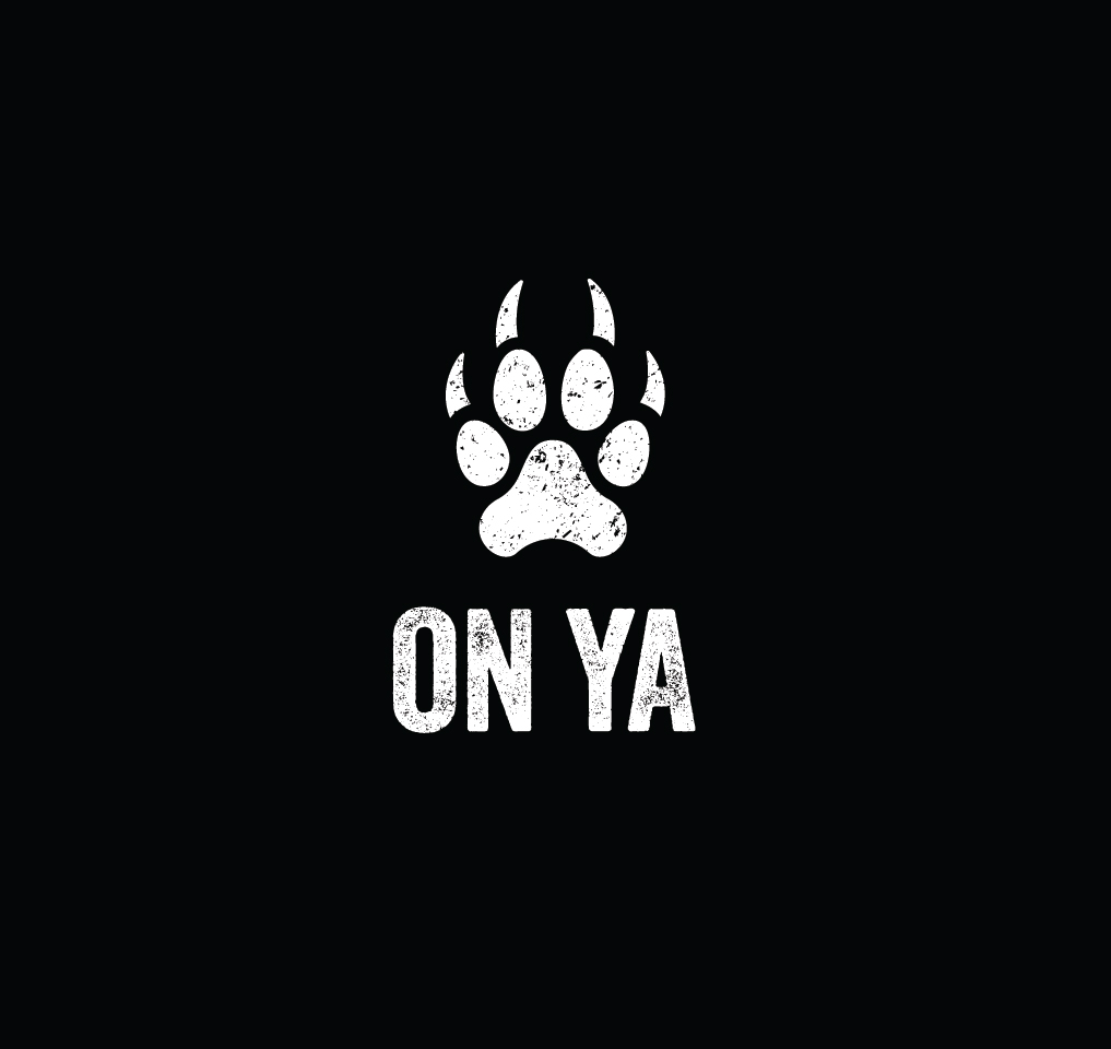 Logo Design by Onse Officials for Vizion Shopfitters | Design #35439303