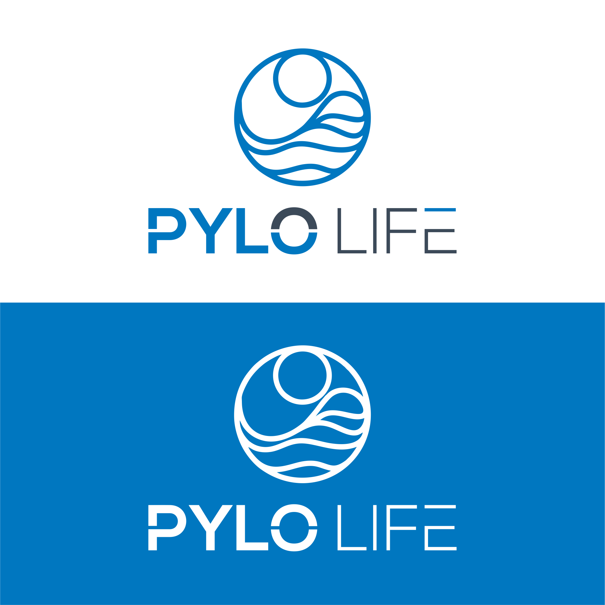 Logo Design by diego costa for this project | Design #35435287