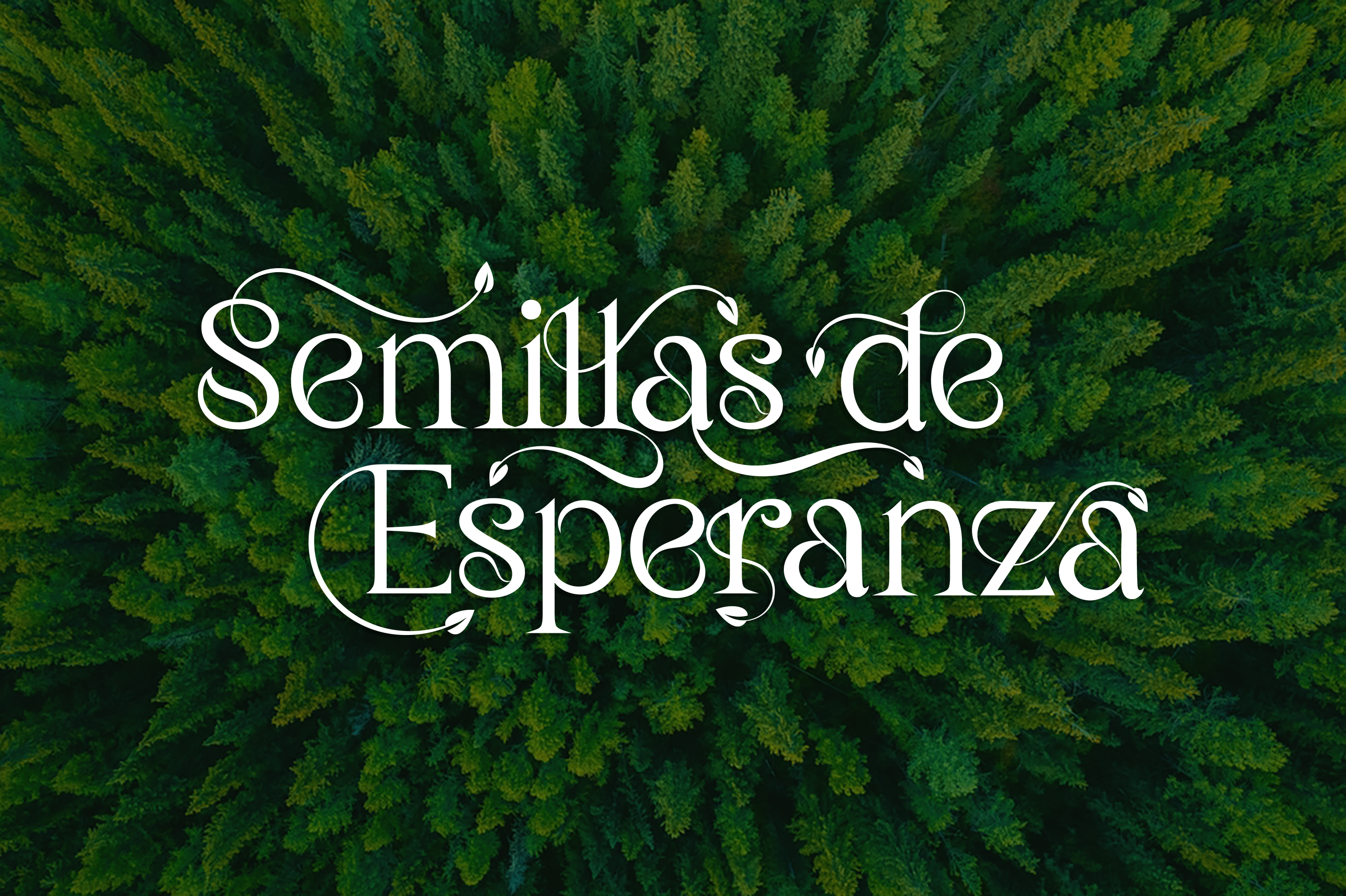 Graphic Design by designcircle for this project | Design #35461649