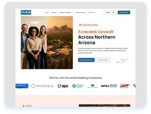 Web Design by AAA Studio