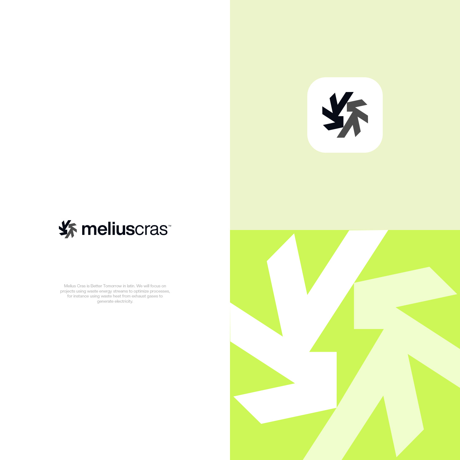 Logo Design by Felipe Moura for this project | Design #35449931