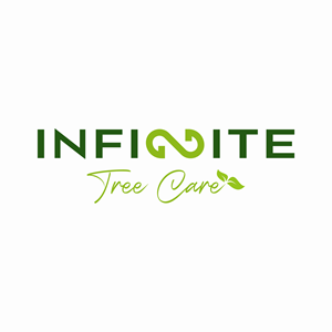 Logo Design by GatorsWeb