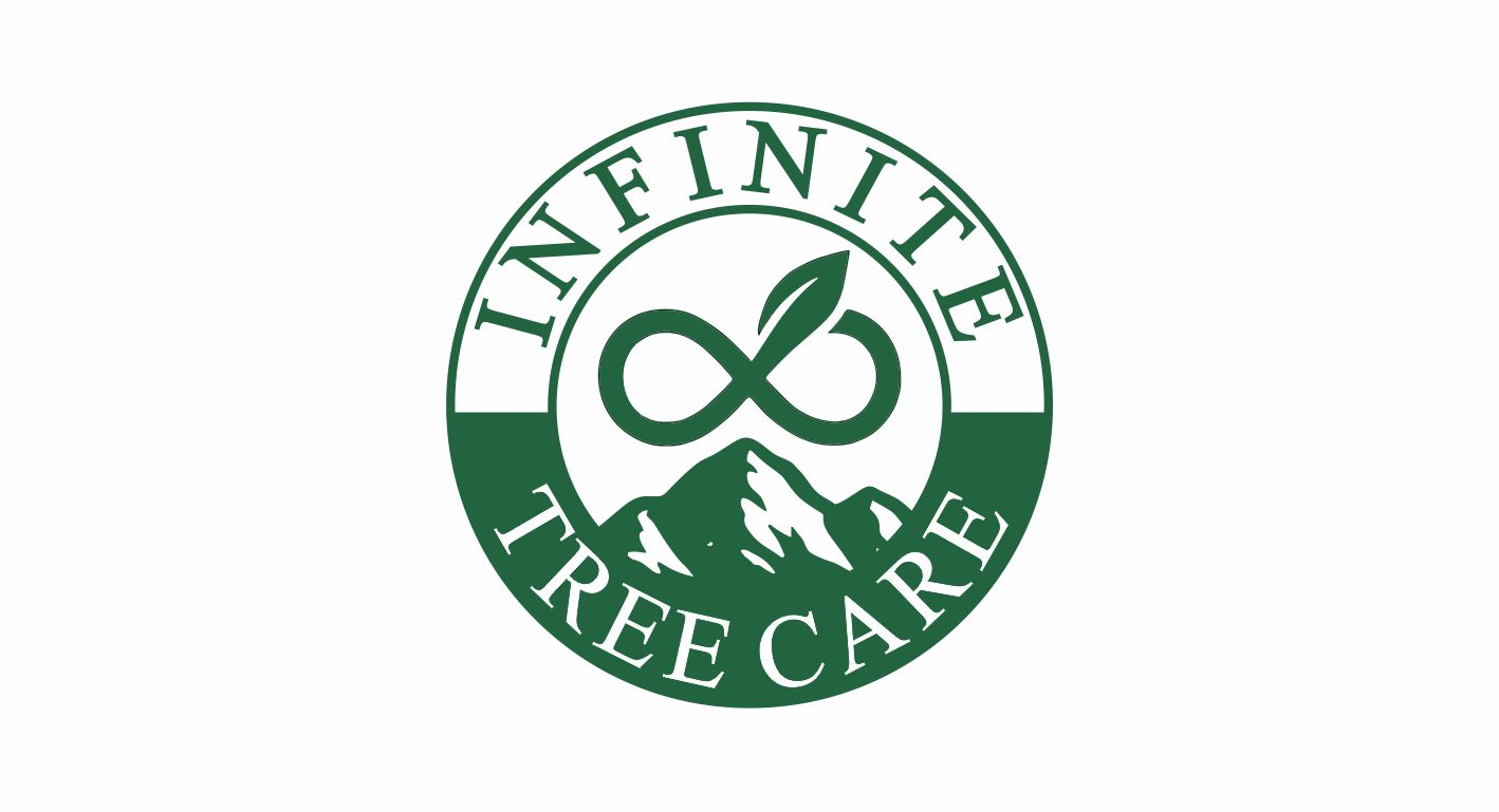 Logo Design by Borago for Eddie’s Tees  | Design #35472978