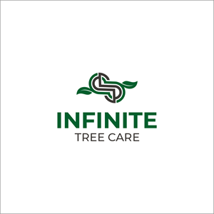 Logo Design by B4LYA