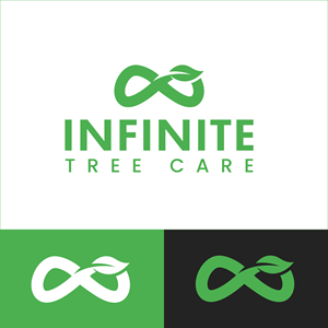 Logo Design by Ameer007