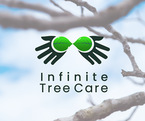 Logo Design by PixelBay