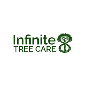 Logo Design by A10