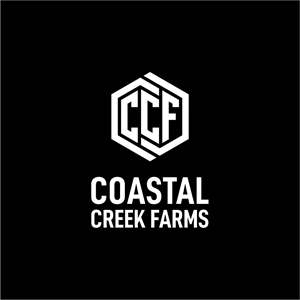 Logo Design by B4LYA