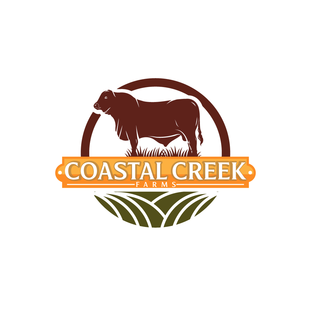 Logo-Design von Krold IT Solutions für dieses Projekt | Design #35449618