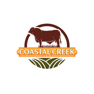 Logo Design by Krold IT Solutions for this project | Design: #35449618