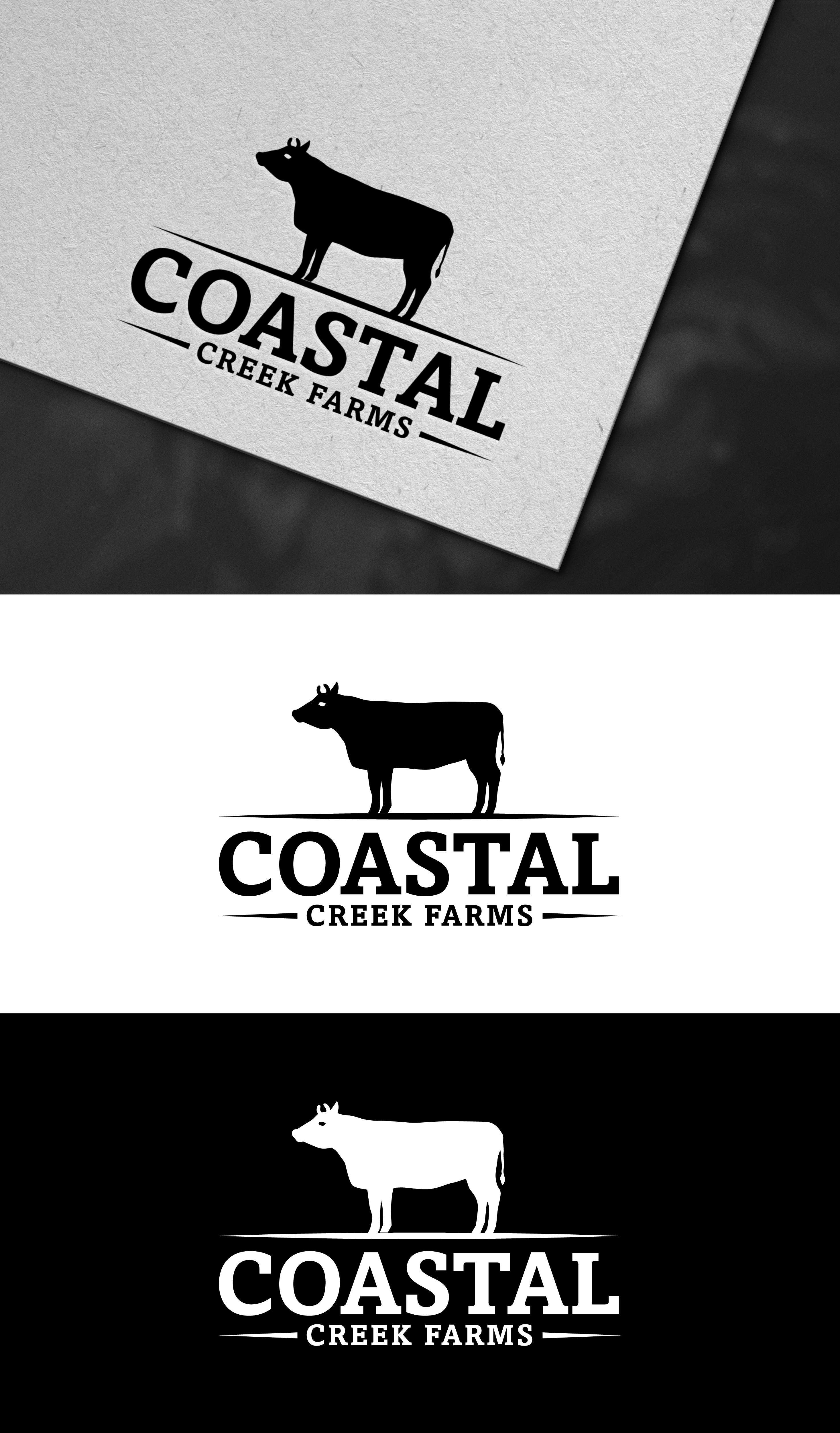 Diseño de Logo por AKTech para este proyecto | Diseño #35456924