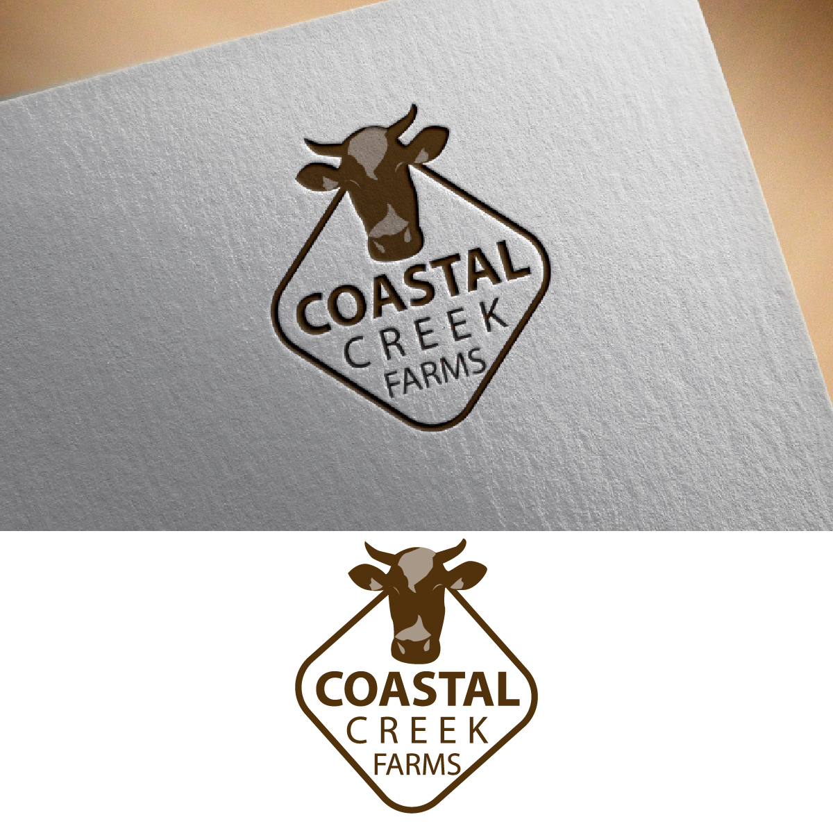 Diseño de Logo por fly  design para este proyecto | Diseño #35449707