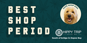 Billboard Design by HIRADESIGN for this project | Design: #35456376