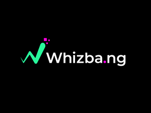 Logo Design by Hasib3509 for Extravaganza Software LLC | Design #35458260