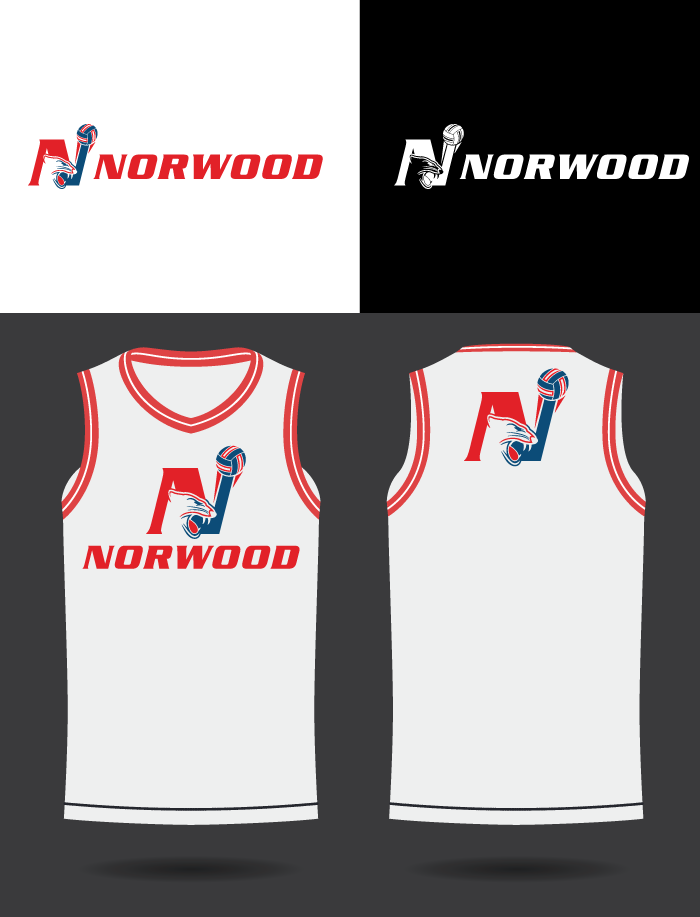 Logo-Design von RA-bica für N/A | Design #35466001