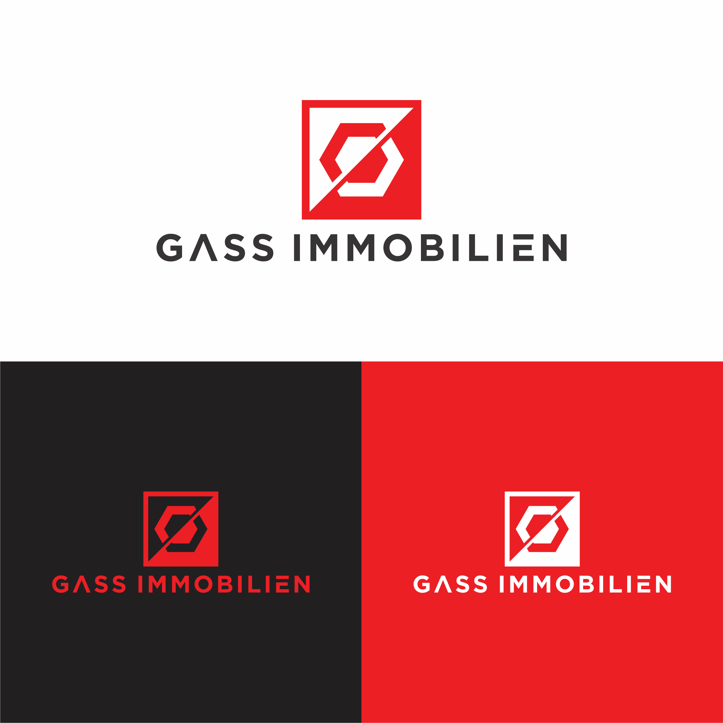 Diseño de Logo por ndra para este proyecto | Diseño #35528473