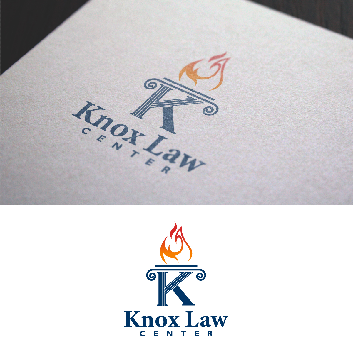 Logo Design by fly  design for this project | Design #35478067