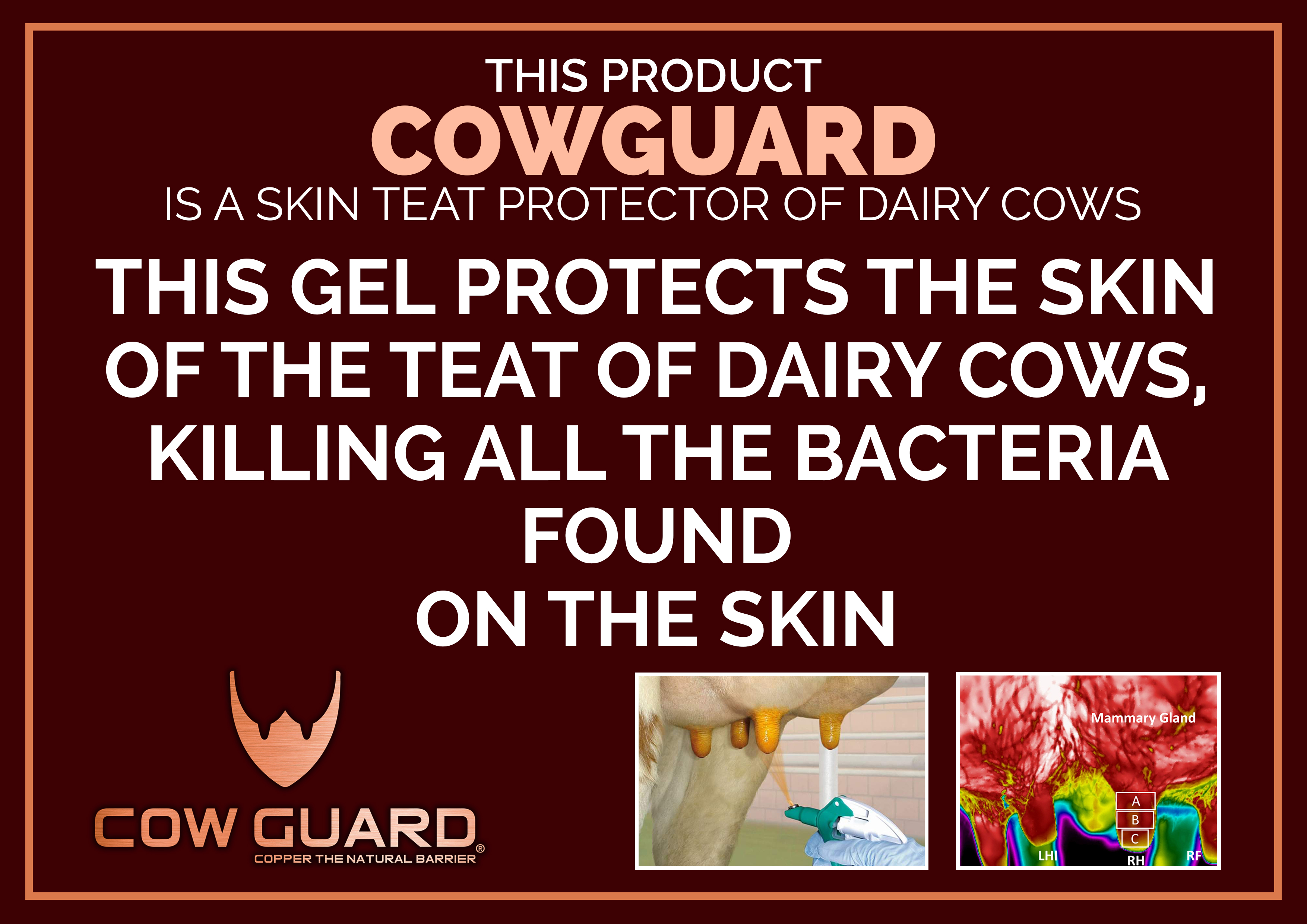 Graphic Design by Designer Lihansa for this project | Design #35498733