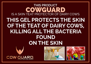 Graphic Design by Designer Lihansa for this project | Design: #35498733