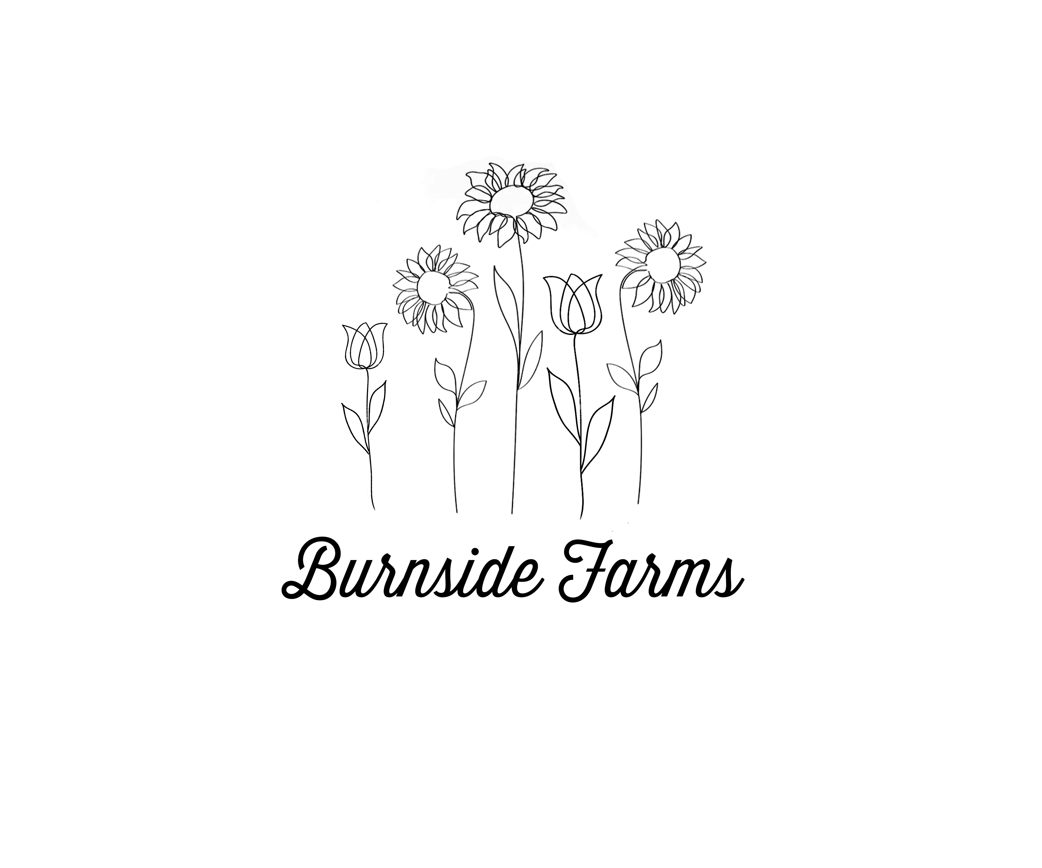 Graphic Design by Andrés Sebastián for this project | Design #35486118