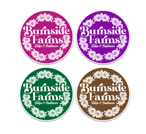 Graphic Design by Designer Lihansa for this project | Design: #35504914