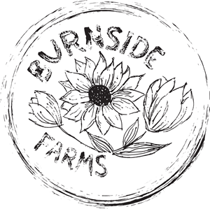 Graphic Design by Joanna for this project | Design: #35503632