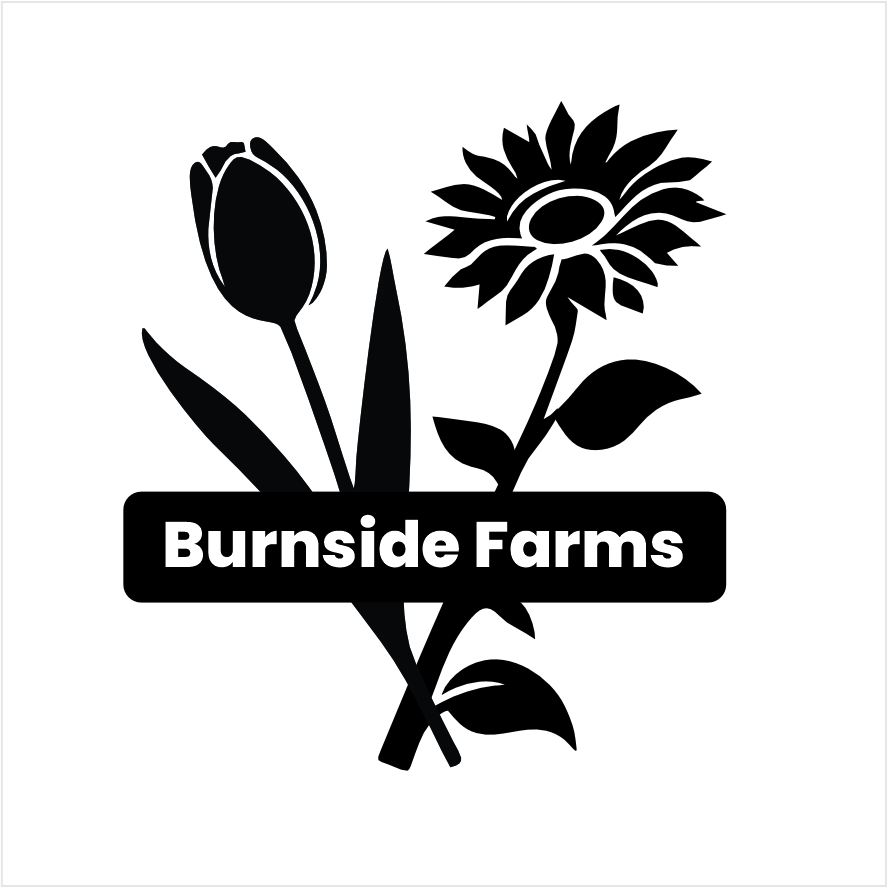 Graphic Design by DesignART for this project | Design #35507077