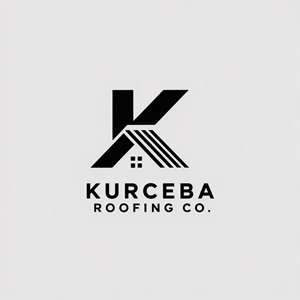 Logo Design by Albert Nafi for this project | Design: #35481346